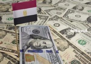 الحكومة تنفي ما تردد حول اعتزامها استقطاع جزء من تحويلات المصريين في الخارج | إنفوجراف