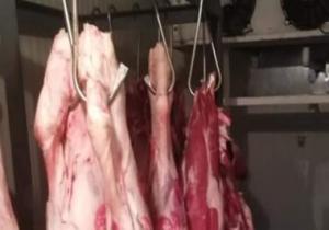 ضبط 1.5 طن دواجن ولحوم فاسدة داخل مطعم في السلام