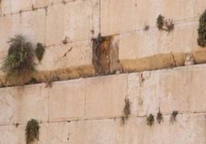 إغلاق موقع حائط البراق بالقدس بعد سقوط حجر كبير يزن 100 كجم