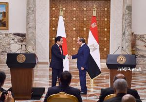 المتحدث الرئاسي ينشر صور استقبال ومباحثات الرئيس السيسي ورئيس الوزراء الياباني| صور