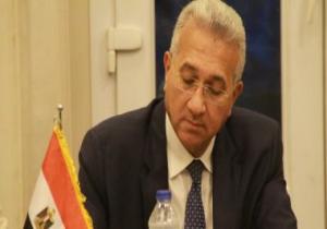 السفير محمد حجازى: مشاركة مصر فى قمتى مجموعة السبع والتيكاد فرصة لجذب الاستثمارات