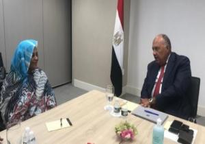 وزير الخارجية يجتمع مع نظيرته السودانية للتحضير لجلسة سد النهضة بمجلس الأمن