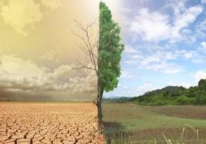 صندوق النقد يحذر من تداعيات تغير المناخ على تحقيق أهداف التنمية المستدامة