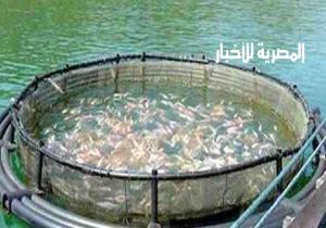 وزير الزراعة.. شراكة "مصرية- قبرصية" في مجال الاستزراع السمكي.. ومشروع قومي للزيتون