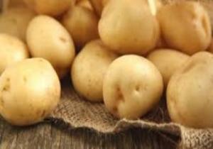"الزراعة" تعلن ارتفاع صادرات مصر من البطاطس لـ440 ألف طن