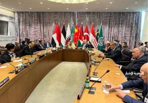 بدء اجتماع رئيس مجلس الأمن باللجنة الوزارية العربية الإسلامية بشأن غزة