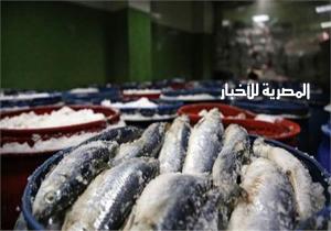 الصحة: تضبط وإعدام 53 طن أغذية متنوعة وأسماك مملحة ومدخنة بمحافظات الجمهورية