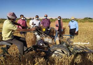 حنان مجدى نائب محافظ الوادى الجديد تشهد حصاد القمح بأحد المزارع