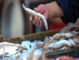 رئيس هيئة الثروة السمكية: 11 بحيرة تنتج 20% من إجمالى الأسماك فى مصر