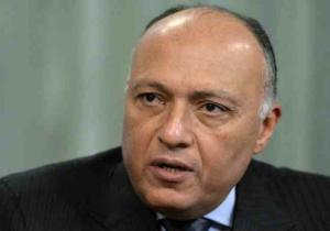 «وزيرالخارجية»: جولة مشاورات سياسية بين مصر وهولندا