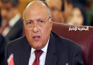 الخارجية المصرية: مصر قد تلجأ لمجلس الأمن الدولي فيما يخص سد النهضة
