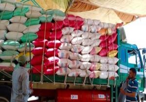 محافظ الدقهلية: استمرار انتظام توريد القمح للصوامع بإجمالى 184 ألف طن