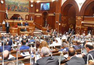 رئيس دينية الشيوخ: مشروع قانون حقوق المسنين يحافظ على الهوية المصرية ومنظومة القيم الأخلاقية