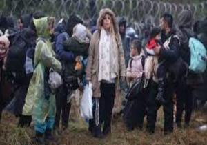 بيلد الألمانية: العراق ستعيد مواطنيها المهاجرين الخميس المقبل