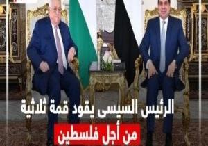 الرئيس السيسى يقود قمة ثلاثية من أجل فلسطين.. إنفوجراف
