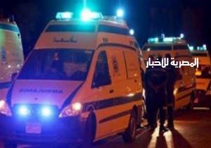 إصابة 9 أشخاص في حادث على الرافد الدولي بكفر الشيخ