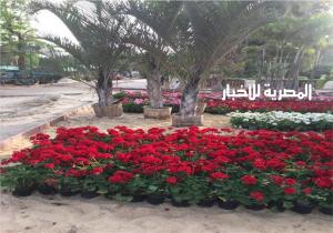 غدا.. افتتاح مهرجان الربيع بـ «المتحف الزراعي بالدقي»