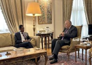 وزير الخارجية يبحث مع نظيره الكيني تعزيز العلاقات الثنائية بين البلدين