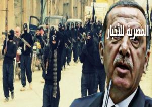 أردوغان: نحتجز 20 من «داعش» المتورطين في حادث مطار إسطنبول