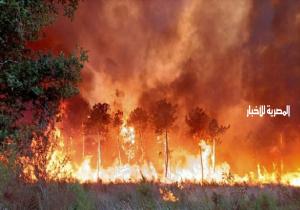 العالم يُصارع لهيب «حرائق الغابات»