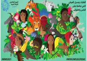 مؤسسة شباب بتحب مصر تحتفل باليوم العالمي للحياة البرية