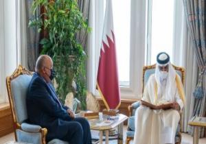 الخارجية: الرئيس السيسى يدعو أمير قطر لزيارة مصر فى أقرب فرصة