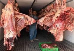 "زراعة الإسكندرية" تعلن توفير كميات مناسبة من اللحوم قبل العيد بسعر 90 جنيها