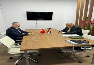 وزير الخارجية يلتقي نظيره التركي على هامش اجتماعات مجموعة العشرين بريو دي جانيرو