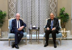 وزير الخارجية يستعرض لنظيره الفلسطيني الجهود التى تقوم بها مصر لدعم القضية الفلسطينية