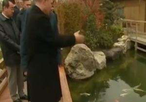 الرئيس الروسى بوتين يطعم الأسماك فى جزيرة القرم