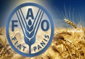 انتخاب مصر بالإجماع عضوًا بمجلس منظمة الأغذية والزراعة الفاو