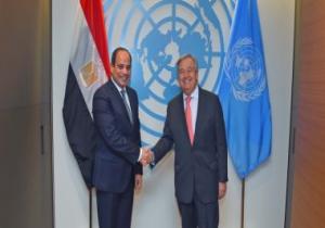 السيسي يؤكد دعم مصر لجهود الأمم المتحدة فى تحقيق السلم والأمن الدوليين