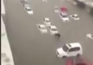 الدوحة تغرق.. مشاهد جديدة تكشف كارثة سيول قطر.. ومغردون يسألون: أين تميم