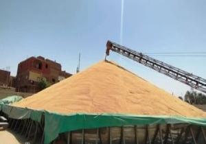 التموين: زيادة سعة تخرين القمح بالصوامع لـ3.4 مليون طن والمخزون يكفى 5.5 أشهر