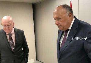 وزير الخارجية يلتقي مندوبي روسيا والصين بمجلس الأمن ويؤكد موقف مصر الثابت من سد النهضة / صور