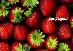 بعد أمريكا ودول أوروبية.. الكويت أيضا تشدد الرقابة على دخول" الفراولة المصرية والخضروات"