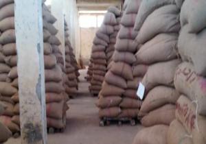 محافظ الدقهلية: استمرار انتظام توريد القمح بإجمالى 182.7 ألف طن للصوامع