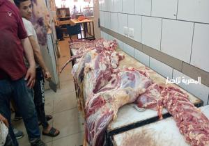 من اليوم.. بيع اللحوم بـ 195جنيها للمستهلكين في جميع المحافظات من خلال هذه المنافذ