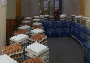 طرح البيض بالمجمعات الاستهلاكية ضمن فارق نقاط الخبز بـ 49 جنيها للكرتونة