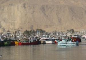 نقيب الصيادين: وقف الصيد بخليج السويس والبحر الأحمر السبت المقبل