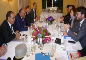 وزير الخارجية يستعرض مع وزيرة الدفاع الفرنسية تفاصيل العملية سيناء 2018