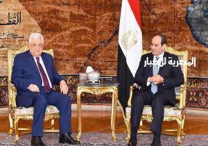 ٧ نقاط تلخص جهود مصر وتحركاتها لمساندة القضية الفلسطينية خلال ٢٠٢١