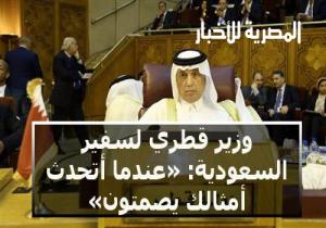 وزير قطري لسفير السعودية: «عندما أتحدث أمثالك يصمتون»