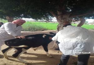 تقديم خدمات طبية وإجراء تحاليل لـ  430 مواطن و علاج ورش 755 رأس ماشية خلال قافلة سكانية شاملة بالدلنجات