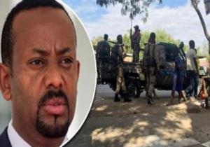 نيويورك تايمز: استعراض جنود إثيوبيا الأسرى فى تيجراى توبيخ واضح لأبى أحمد.