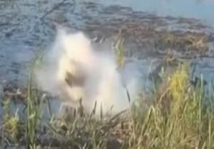 تمساح يلتهم طائرة درون والبطارية تنفجر داخل فمه بولاية فلوريدا.