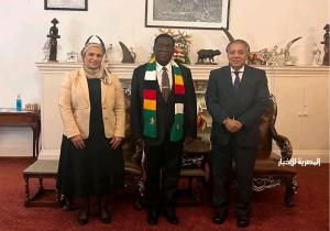 رئيس زيمبابوي يستقبل السفيرة المصرية في هراري والنائب شريف الجبلي لبحث سبل التعاون في مجال الصناعات الكيماوية