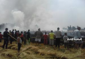 حريق هائل بقش الأرز الموجود بالأراضي الزراعية بميت فارس دقهلية
