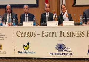 السيسي وأناستاسيادس يشهدان افتتاح فعاليات منتدى الأعمال المصرى القبرصى