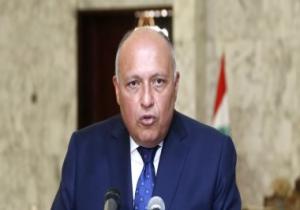 وزيرا خارجية مصر وقطر يتفقان على أهمية العمل لوقف إطلاق النار فى غزة
